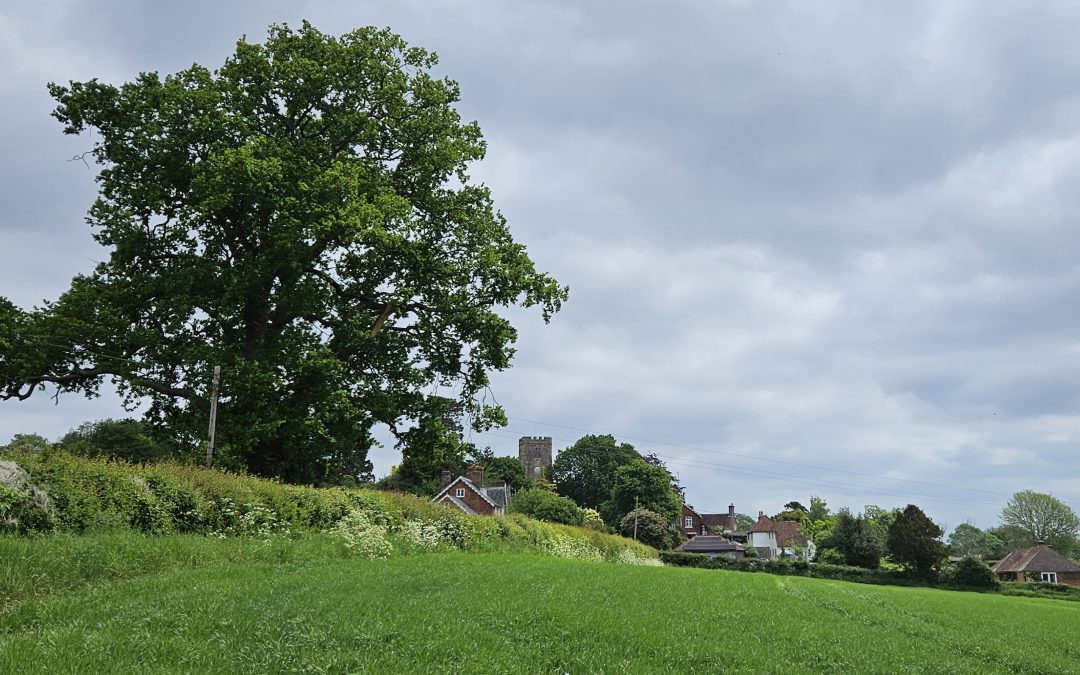 From Robertsbridge…