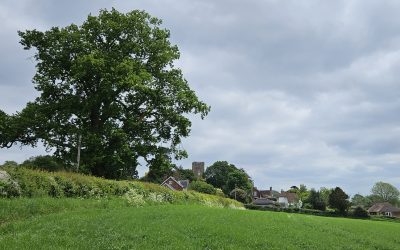 From Robertsbridge…