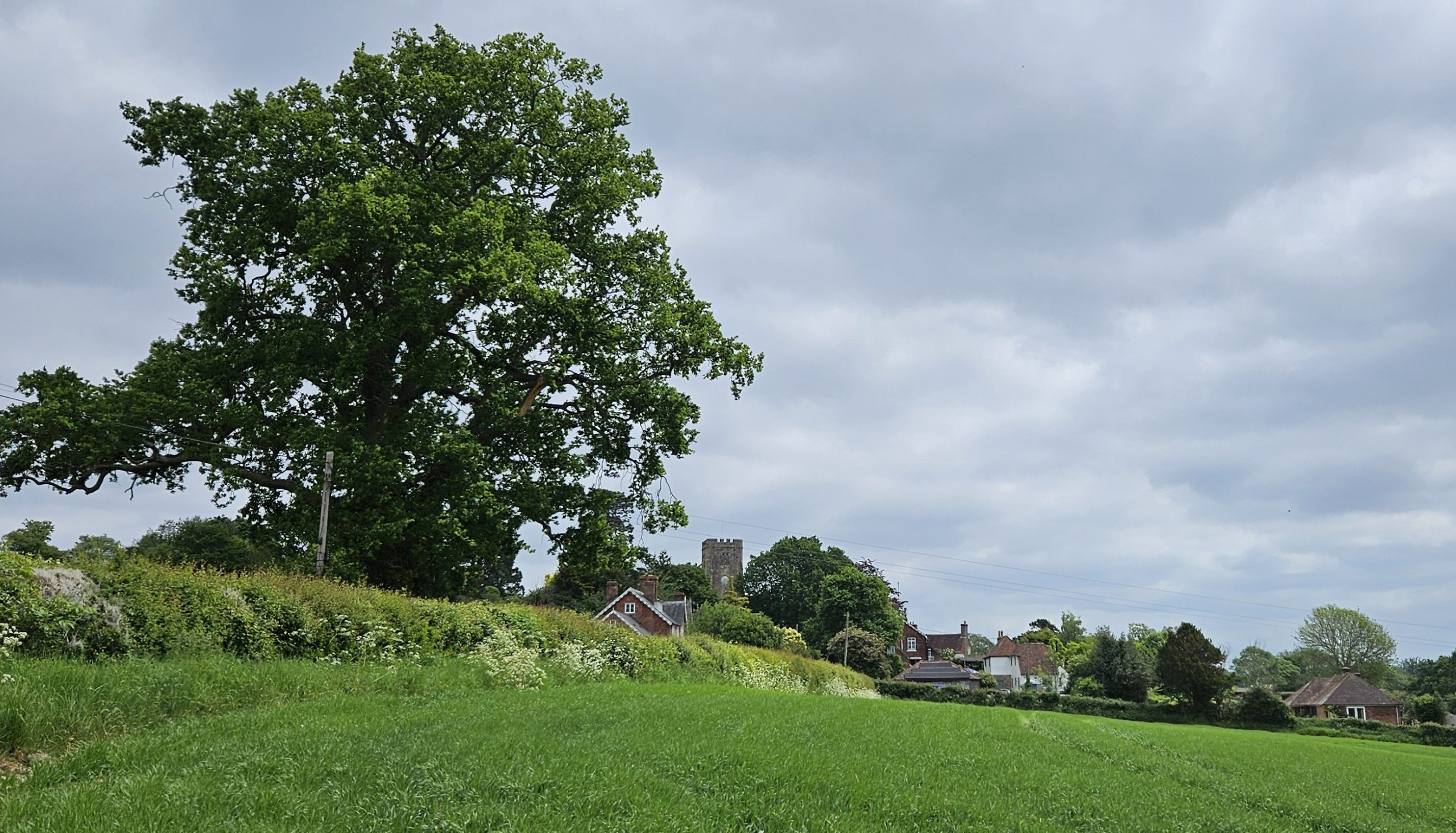 Walking to Salehurst